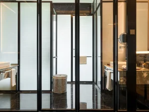 executive-toilet